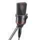 NEUMANN TLM-170R-MT MULTI-PATTERN MIC WITH K 89 CAPSULE, FIVE REMOTE-CONTROLLABLE PATTERNS, WITH TILTING SIDE BRACKET