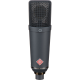 NEUMANN TLM-193 CARDIOID MIC WITH K 89 CAPSULE, INCLUDES SG 1 AND WOODBOX