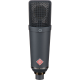 NEUMANN TLM193 | 008381 |NPR CARDIOID CONDENSER MICROPHONE WITH K 89 CAPSULE INCLUDES SG1 MOUNT AND WOOD CASE 0526
